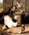 unknow artist Hen chicken and pigeon Germany oil painting art